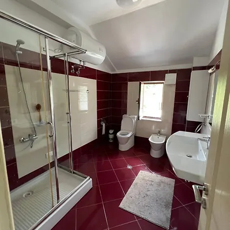 Artificial View Tirana