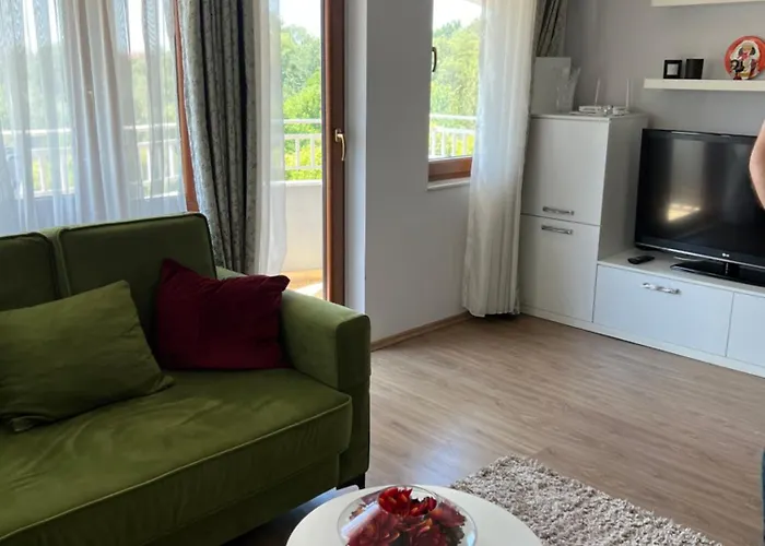 Artificial View * 地拉那