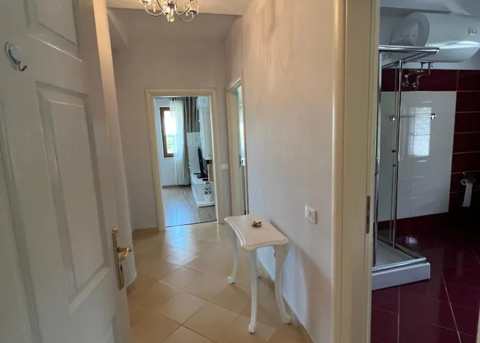 Artificial View 地拉那